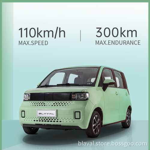 New energy high speed 110km/h range 332km 110V 220V electric car  EV